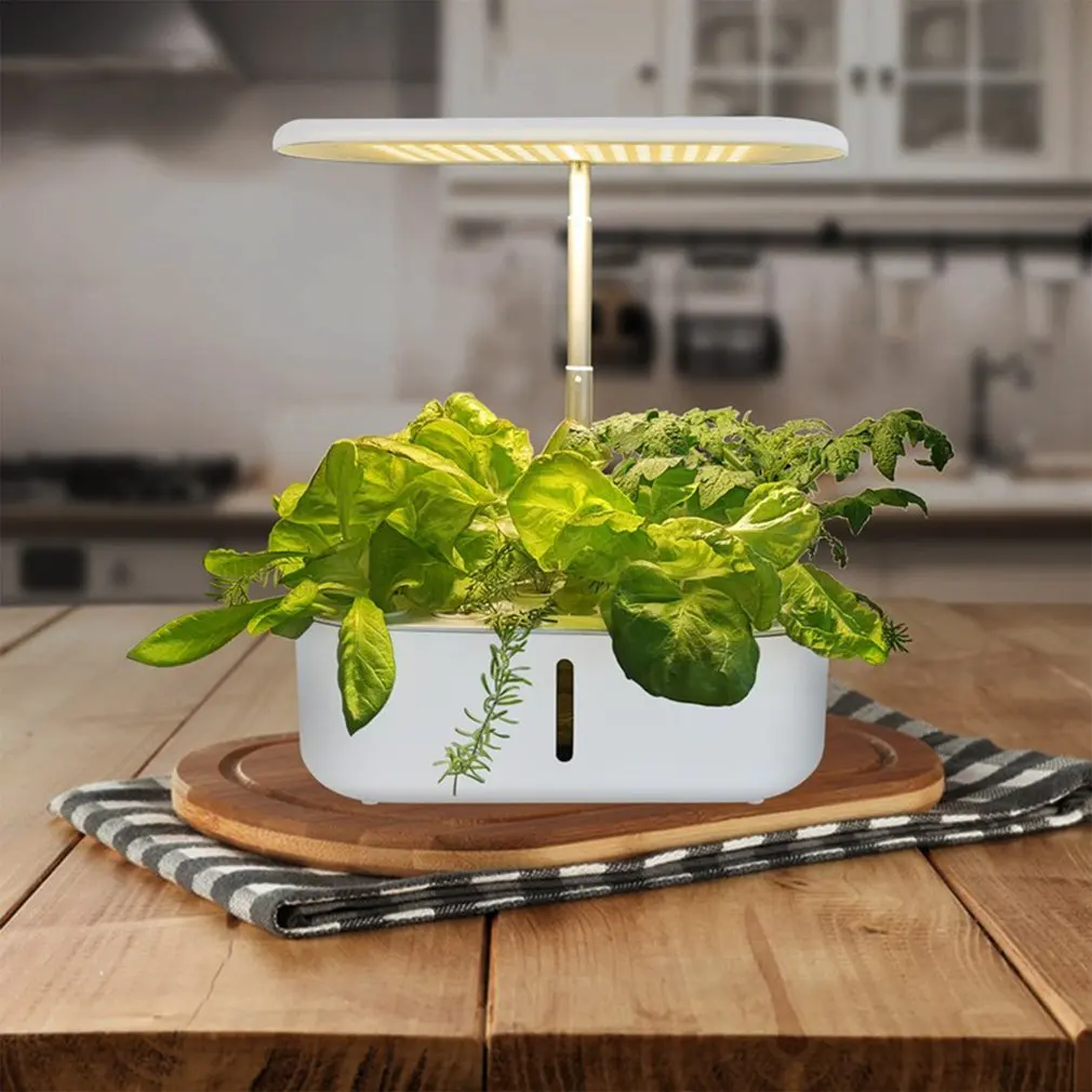 

10 Pods Hydroponics Growing System Height Adjustable Smart Indoor Herb Garden Kit Indoor Garden With LED Grow Light