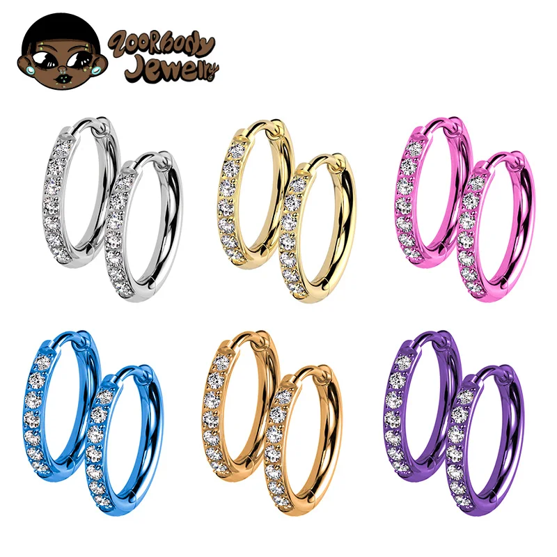 

2PCS G23 Titanium Earring High Quality Hoop CZ Hinged Segment Round Nose Ring for Women Ear Cartilage Helix Piercing Anodizing