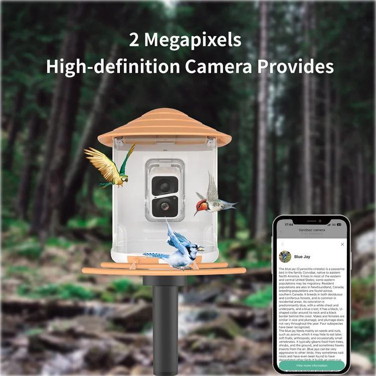 Yellow Smart Bird Feeder With Camera Solar AI Automatic 1080P Panel Battery Powered Detect 10000 Bird Species