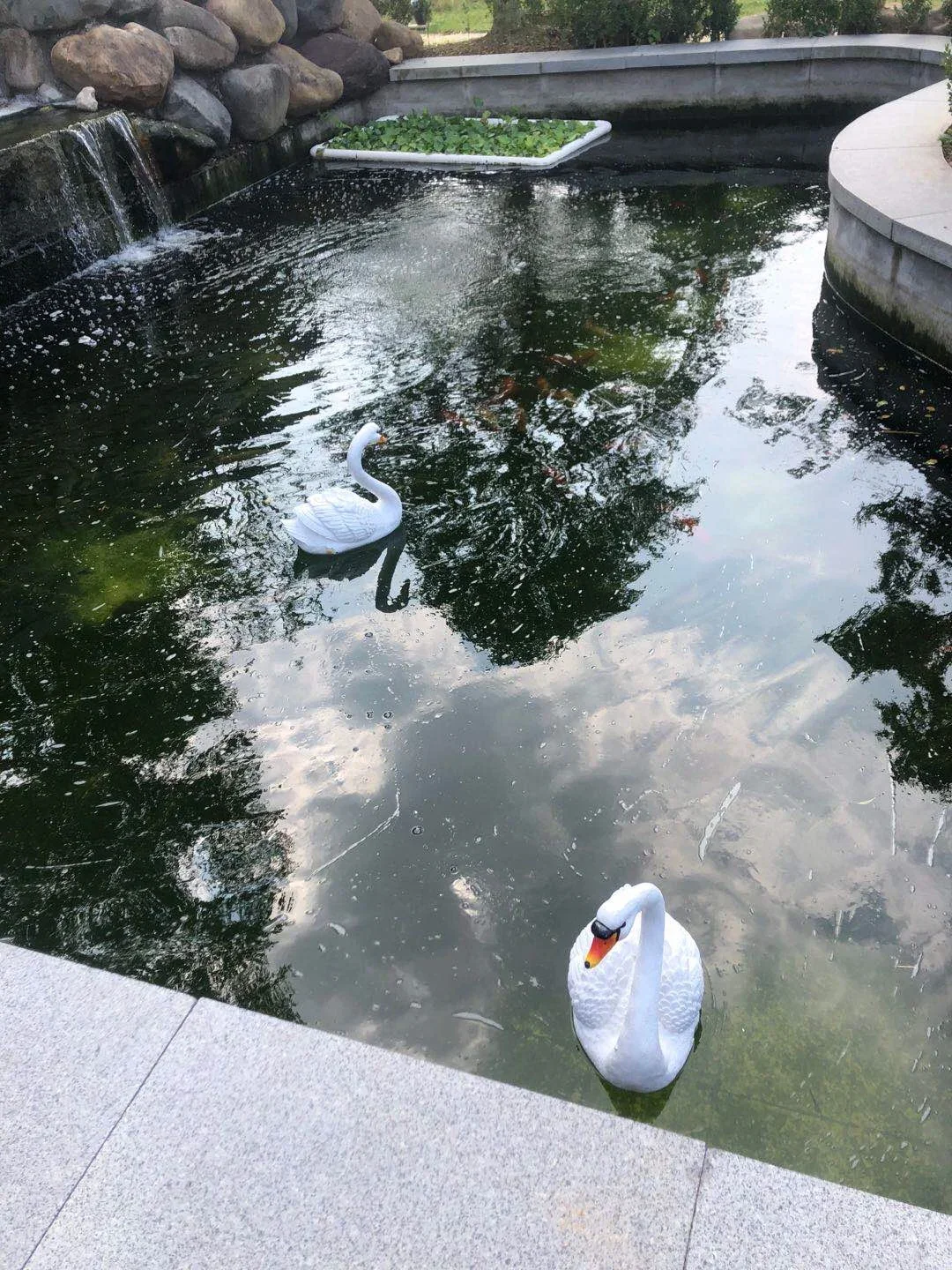 [YL]-Floating Water White and Black Swan Statue, Creative Swimming Pool, Outdoor Garden, Pond Decorative Sculpture, Home Decor O