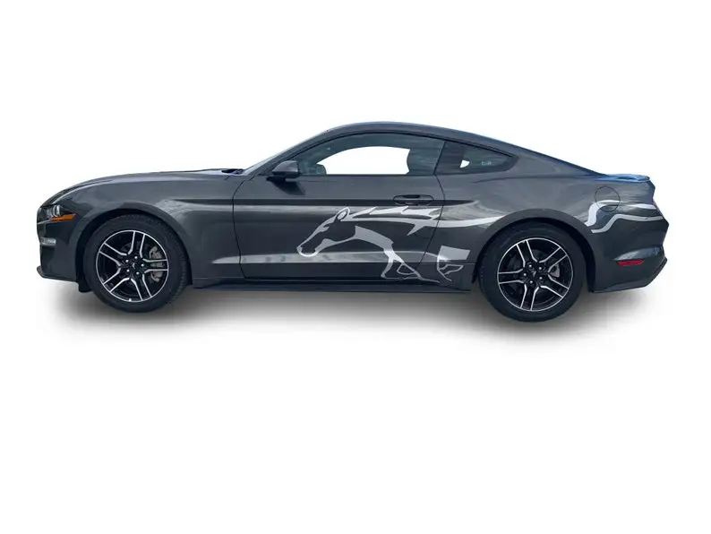 

Fits Mustang Side Freedom Graphics Vinyl Auto Stripes 3M Decals And Stickers 2015-2022