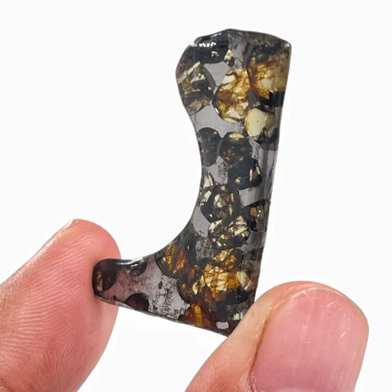 Seymchan Pallasite Meteorite Curved Slice Specimen Polished Natural Olivine Meteorite Collection Mineral Stone Display -TA836