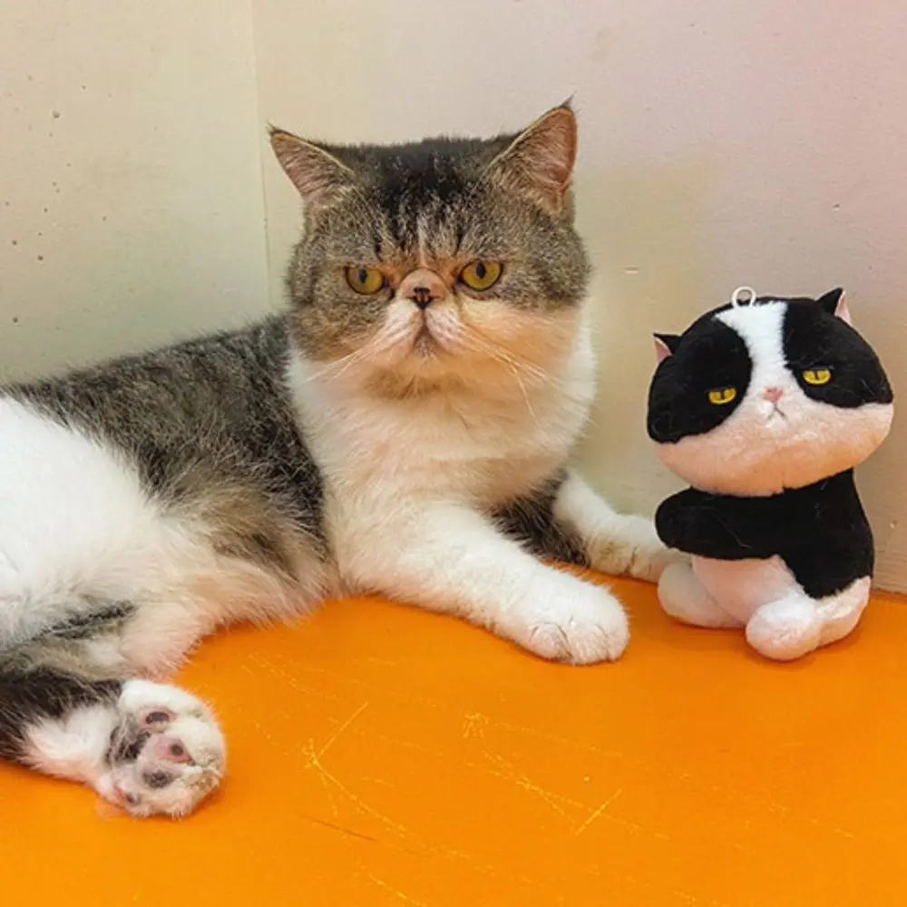 Fashion Soft Cartoon Clip Doll Toy Plush Stuffed Toys Animal Cat Plush Pendant Keyring Cartoon Key Chain Birthday Gift