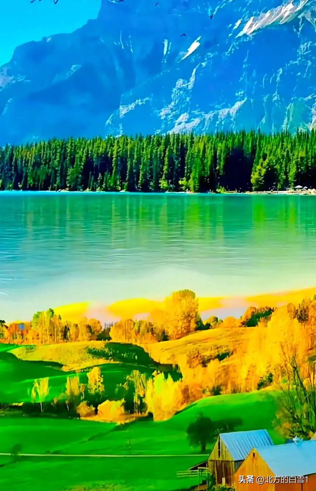 

Vertical screen Android Stereo For Ford Ranger Everest 2016 - 2021 Car Radio Carplay GPS Navi Multimedia Player Head Unit Stereo