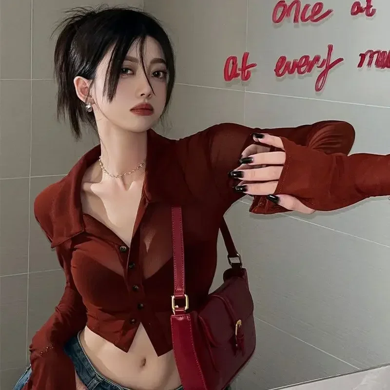 

See Through Shirts Women Sexy Vintage Y2k Crop Tops Streetwear Harajuku Slim Long Sleeve Single-breasted Blouse Black Wine