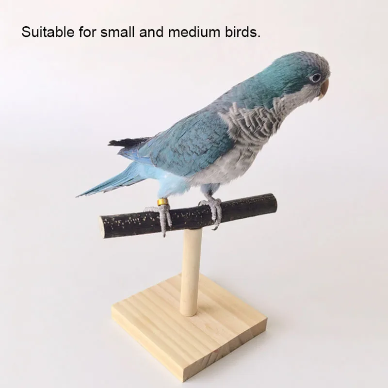 Natural Desktop Stand Pet Parrot Raw Wood Fork Tree Branch Stand Rack Squirrel Bird Hamster Branch Perches Chew Bite Toys Stick