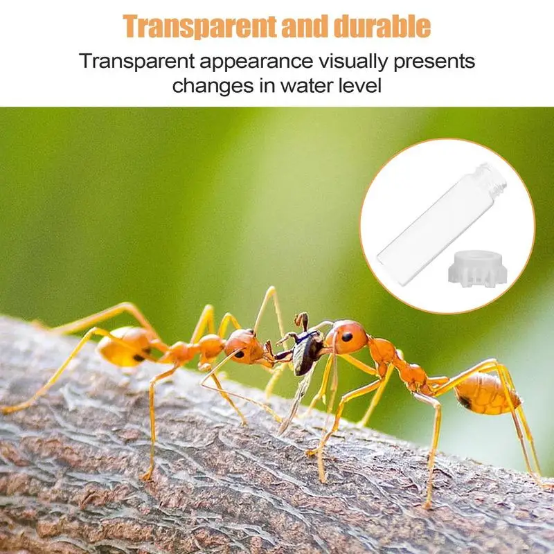 Ant Water Dispenser… - image