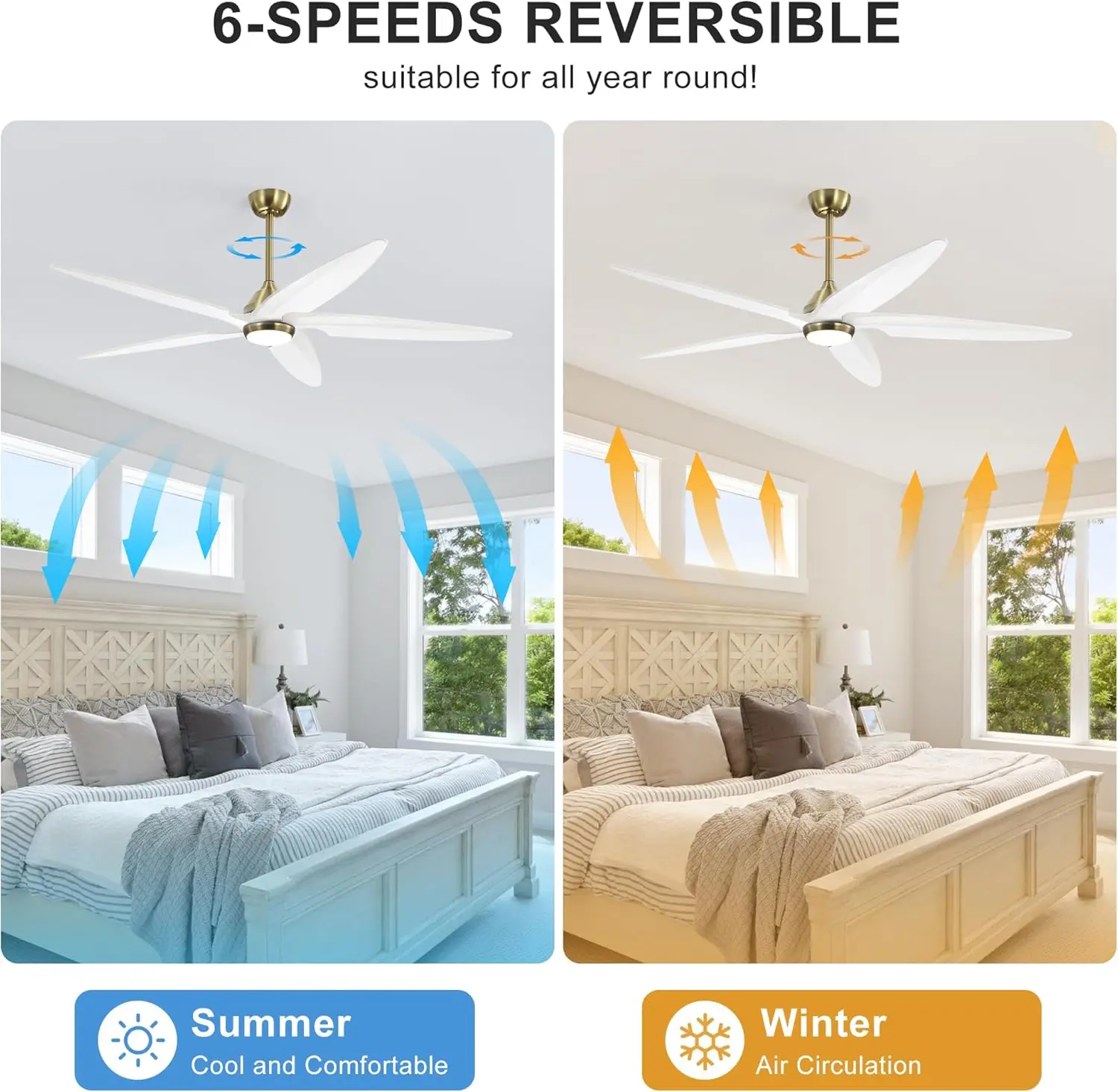 64 Inch Modern Ceiling Fan with Lights and Remote, 5 Wood Blades, 6-Speed Noiseless Reversible DC Motor with Replaceable Downrod