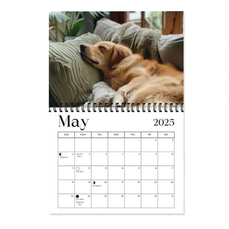 Calendrier mural drôle avec motif de chien endormi, rappel de vacances, maison et bureau, outil de gestion du temps, licence 03, 2025