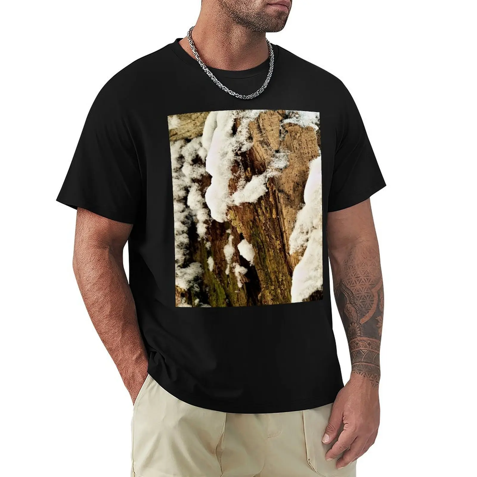 Rotten tree stump in the first snow T-Shirt t shirts for man graphic tees T-Shirt