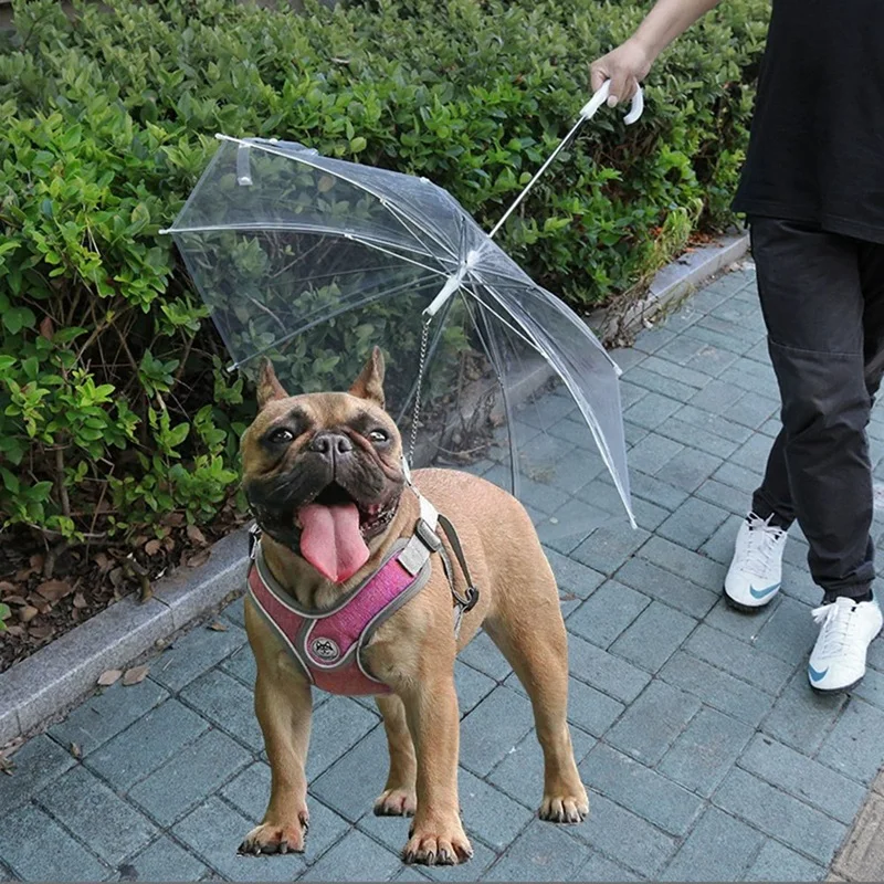 Umbrella With Leash For Small Pets Umbrella For Dogs Fits 27.5” Back Length Pets J-Shape Handle,Clear Umbrella Surface