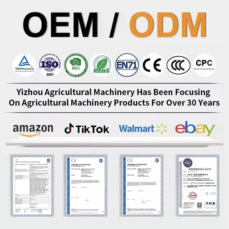 30L Hot Sales Backpack 2/4 Stroke Engine Agriculture Sprayers Machinery Devices Knapsack Power Sprayer for Garden