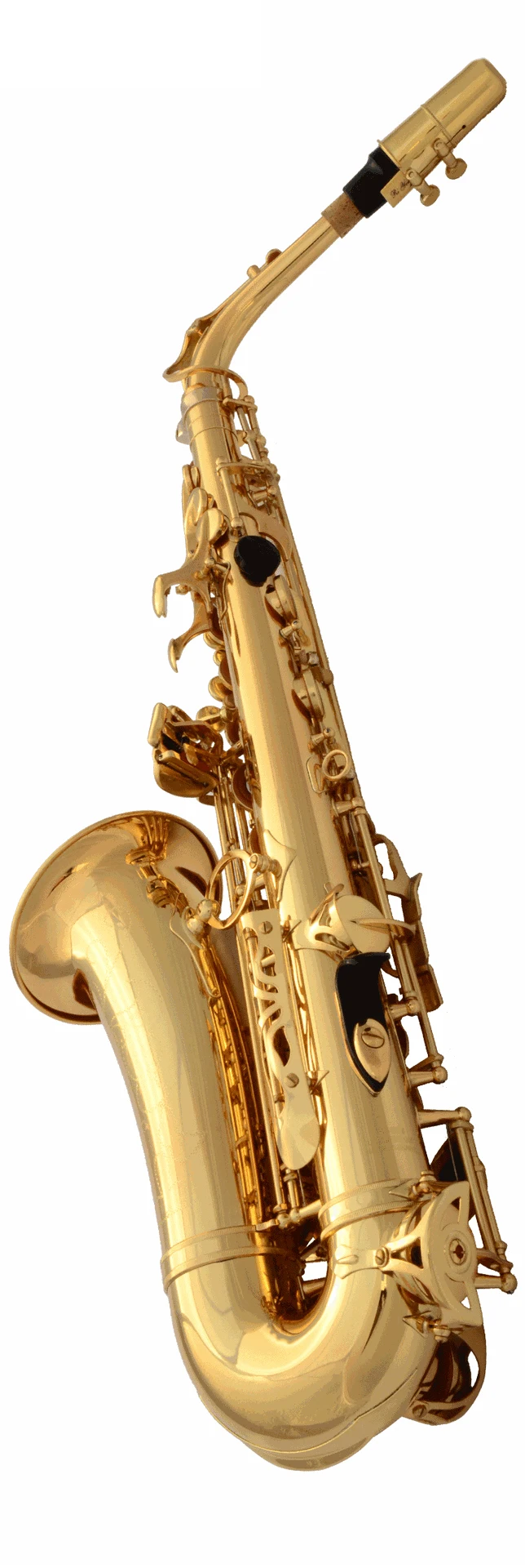 Saxophone Alto e-flat electrophoretic gold saxophone SAX