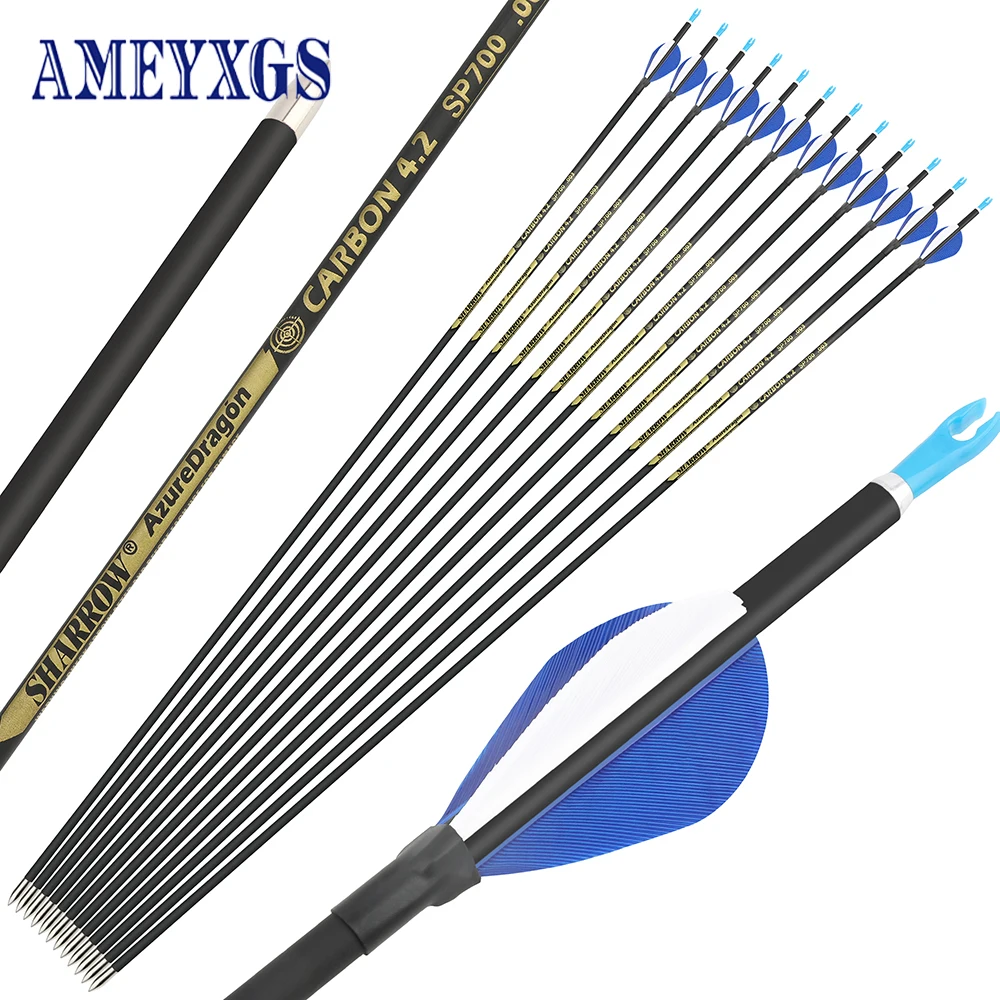 

12pcs Pure Carbon Arrows ID4.2mm Spine700-1000 For Archery Compound /Recuvre Bow Shooting Hunting Arrows