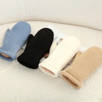 New Polar Fleece Winter Gloves Full Finger Warm Driving Mittens Windproof Coldproof Touch Screen Gloves Autumn and Winter