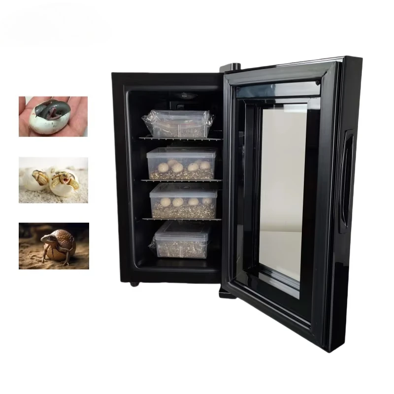 Smart pet reptile egg incubator reptile snake  turtle egg thermostatic incubator