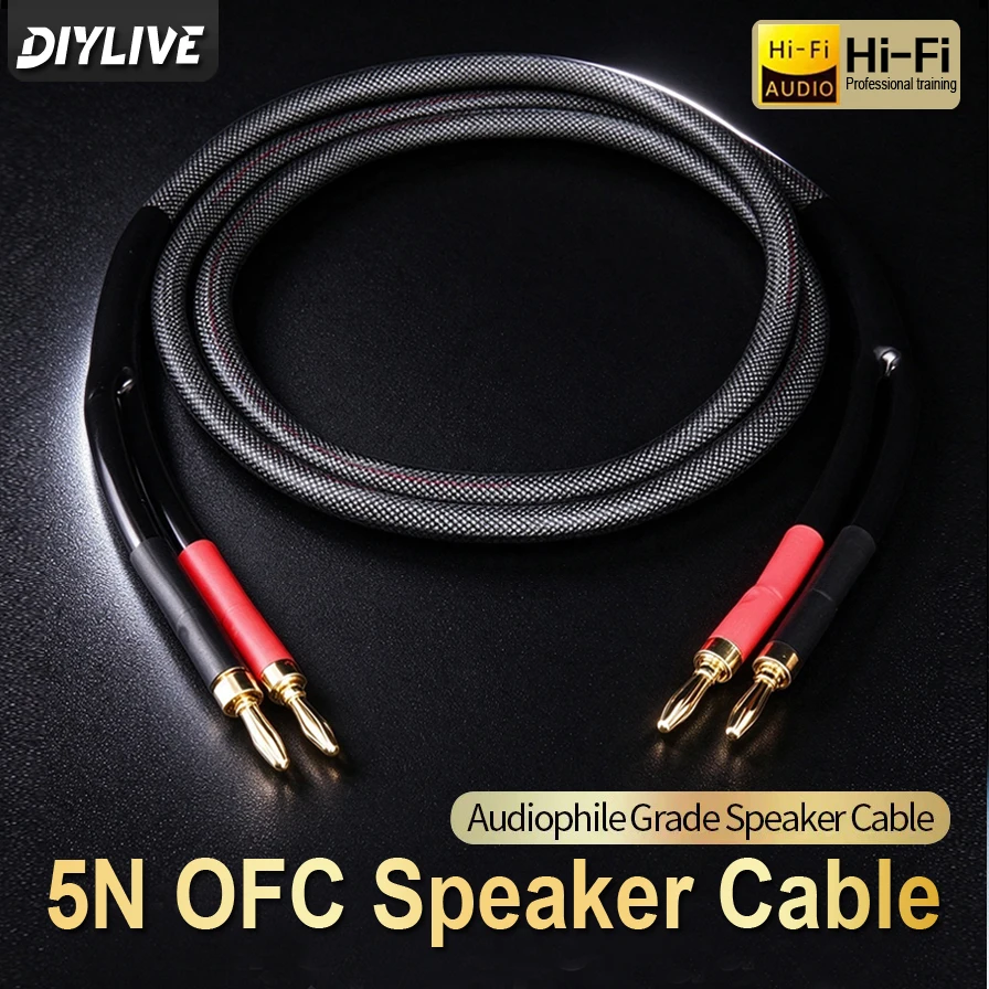 5N High Purity Copper Fever Grade HIFI Speaker Cable Main and Secondary Speakers Surround Power Amplifier Computer Audio Cable