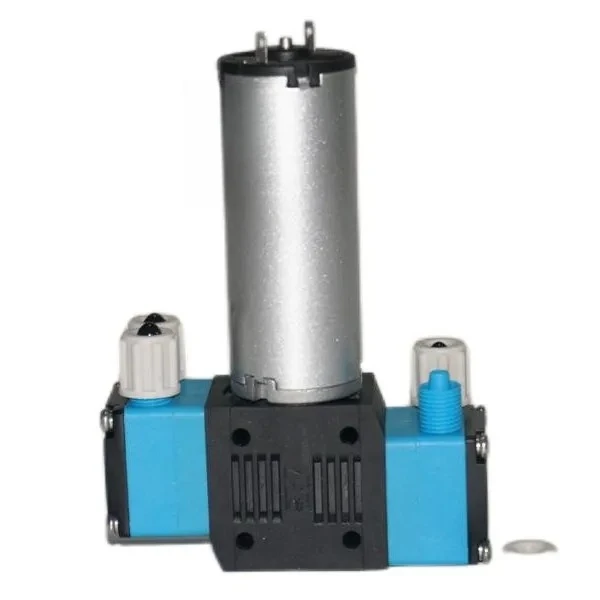 Double-head medical diaphragm water pump, miniature electric vacuum pump
