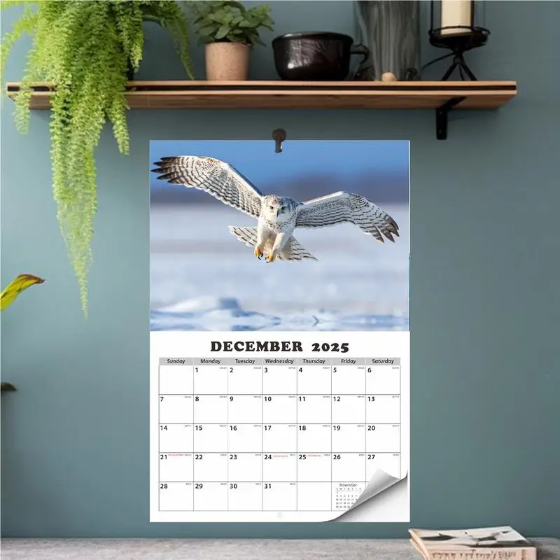 2025 Eagle Wand-Monatskalender ab Januar 2025, Januar 2026 Wandplaner Heller Tagesplaner zum Aufhängen, umklappbarer Wandkalender