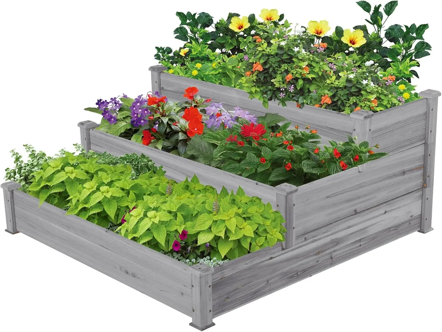 

Wood Raised Garden Bed for Plants, Vegetables, Flowers