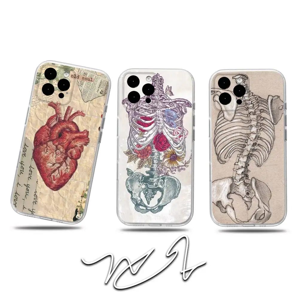 

Anatomy HumanS M-MedicalS Phone Case For iPhone 17,16,15,14,13,12,11 Pro,Max,Plus,X,XS,XR,SE4,E Mini Transparent Soft Cover