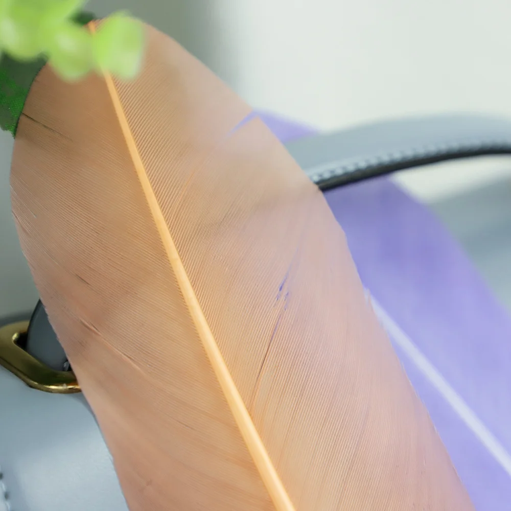 Перо индейки перо