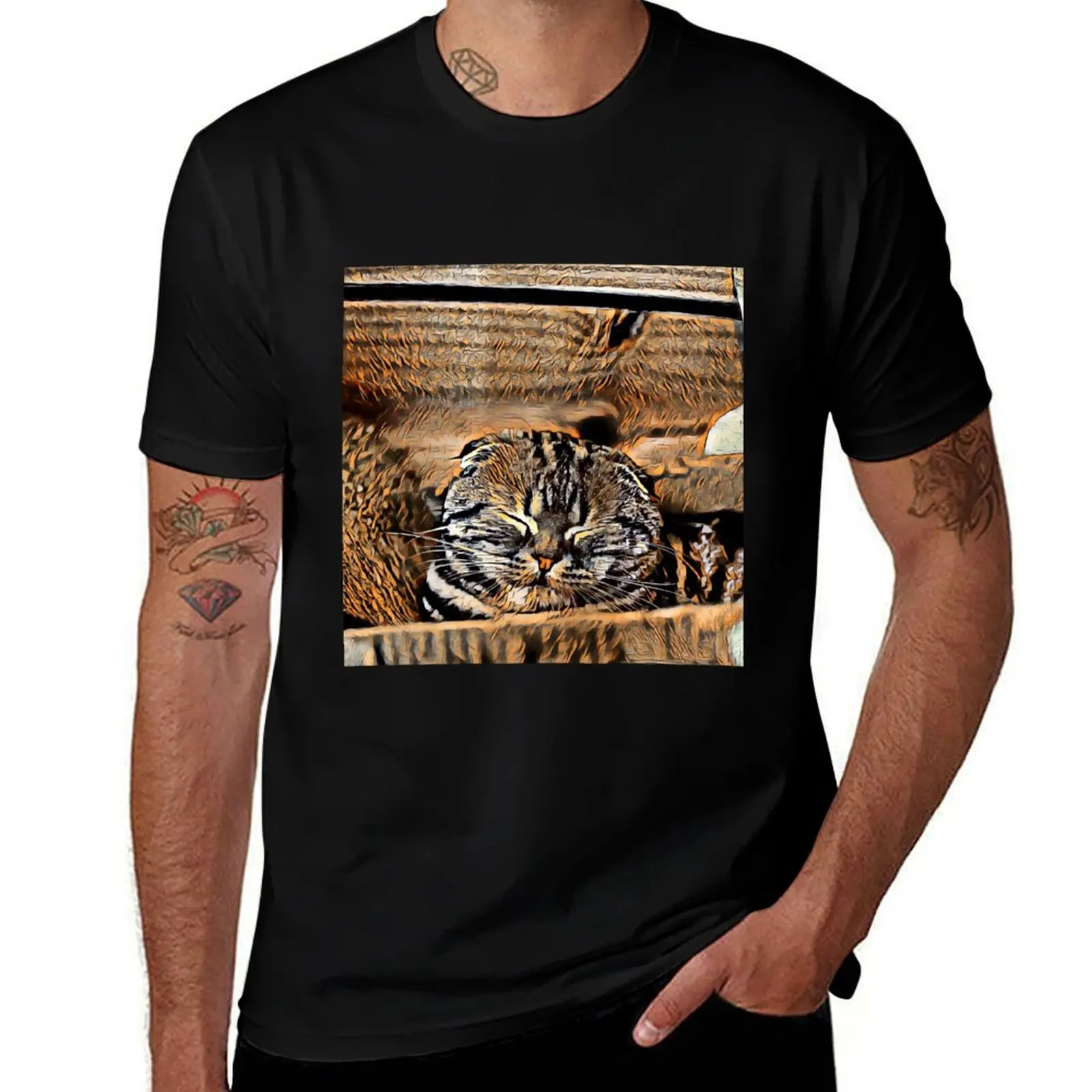 Scottish fold Cat T-Shirt Plus Size Quick Dry Sports Tee