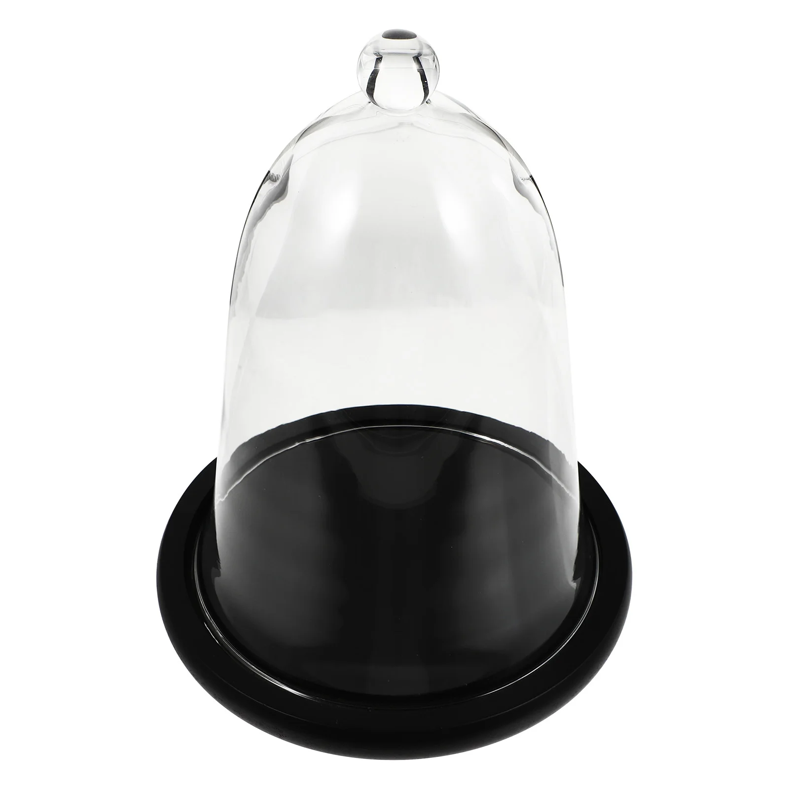

Plant Decor Decorations Floral Glass Preserved Flower Cover Car Interior Adornment Creative Dome