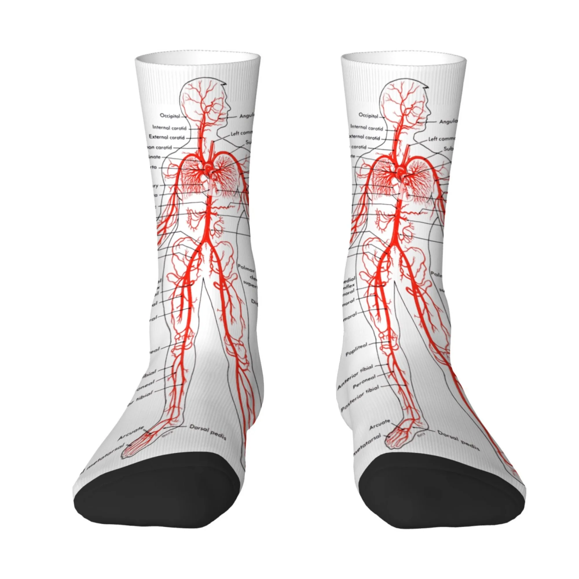 Herrensocken mit Aufdruck „Blood Vessels Bones Body“, weiche, atmungsaktive, bequeme Socken, einzigartig gestylte Happy-Hiphop-Socken im Street-Style