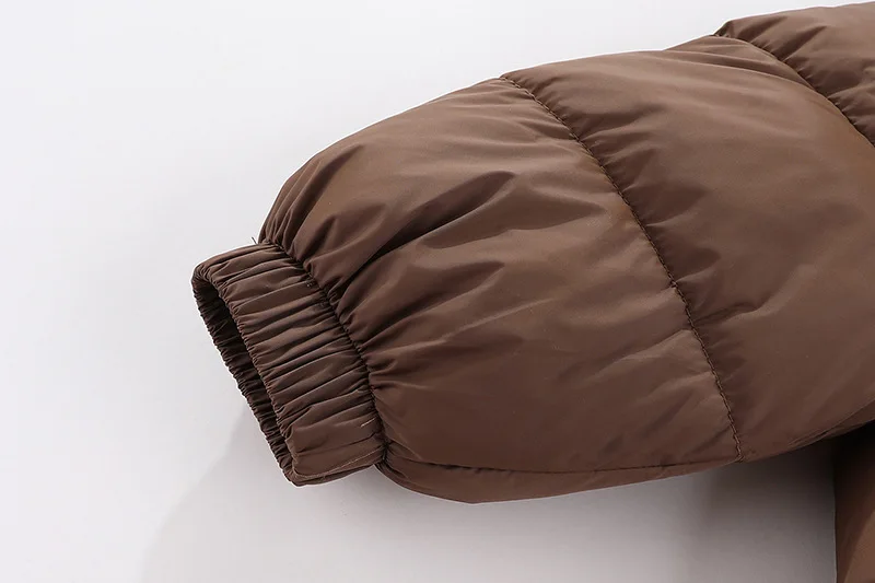 1-8 Jahre Kinder Daunenjacke Herbst Winter Baby Jungen Mädchen Einfarbig Bärenohren Lammwollfutter Dicke Kapuzenjacke – Detail 14