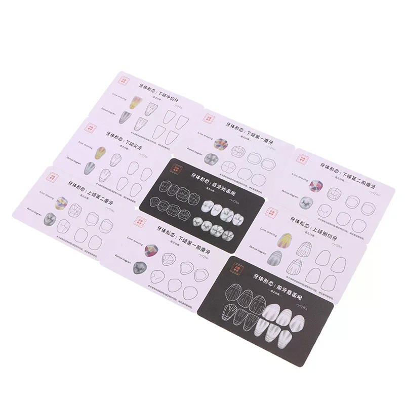 

Dental Composite Filling Practice Board Model Teeth Template Restoration Cavity Dentist Anterior Posterior Practise Resin Stack