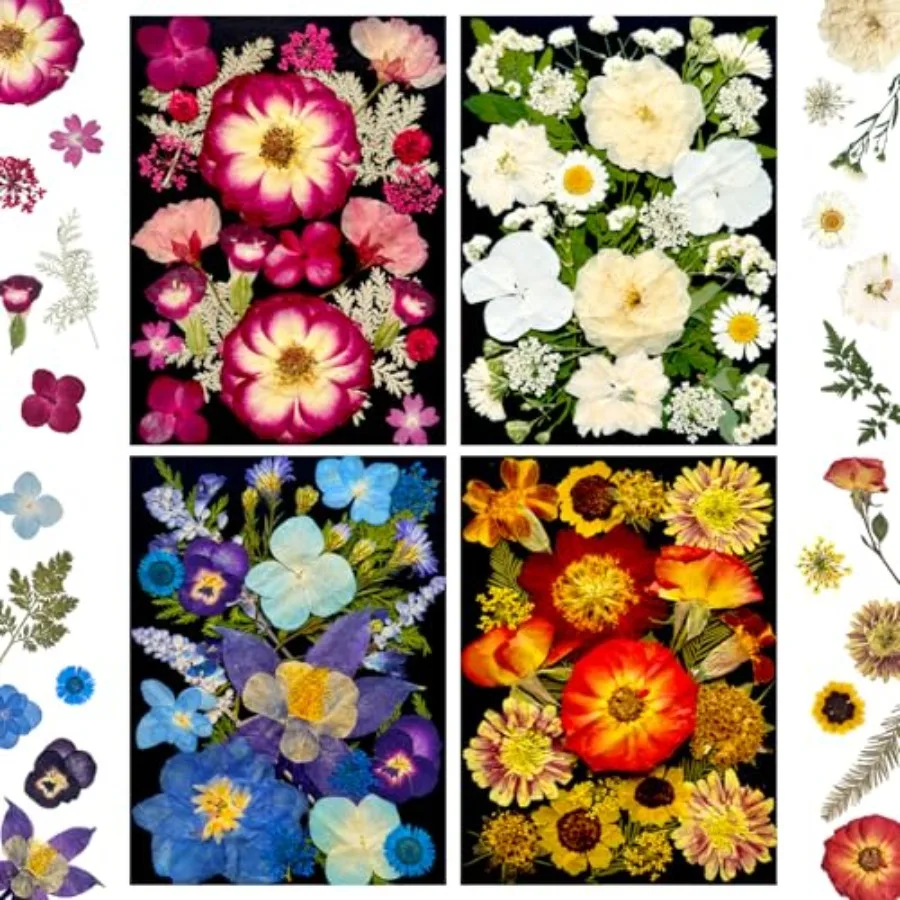 Pressed Dried Flowers for Resin, Real Assorted Natural Bulk Dry Floral Leaves for DIY Art Crafts, Epoxy Molds, Jewelry, Soap, C