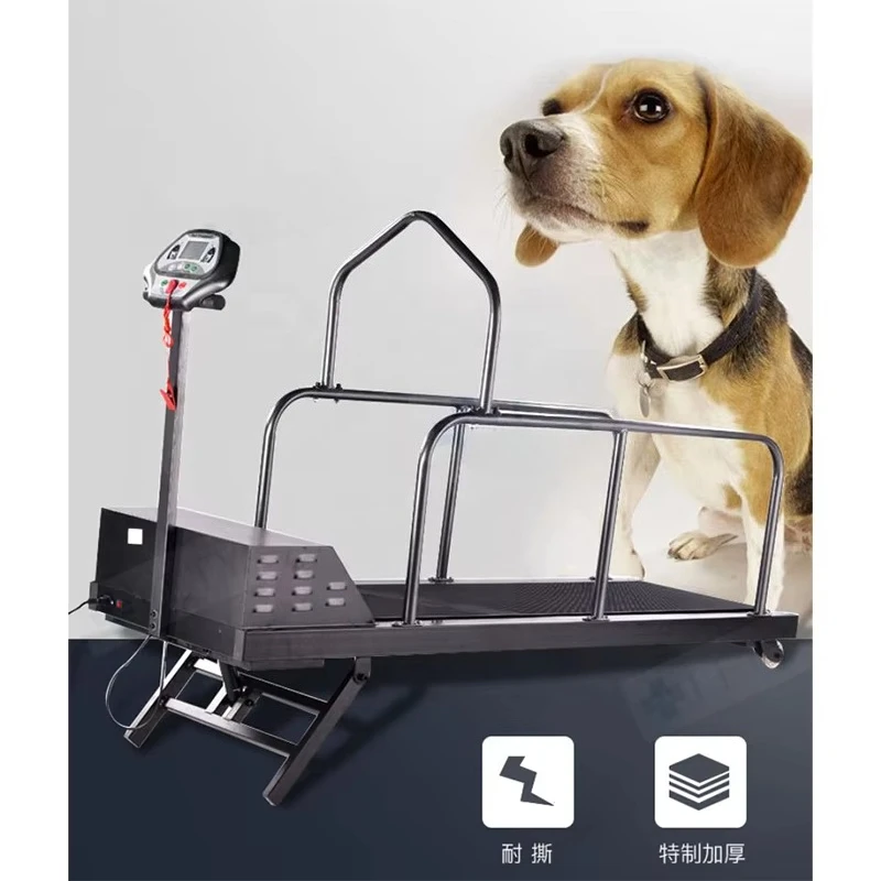 Pet Treadmill Electric Big Dog Treadmill Dog Training Equipment for Pet Training and Rehabilitation