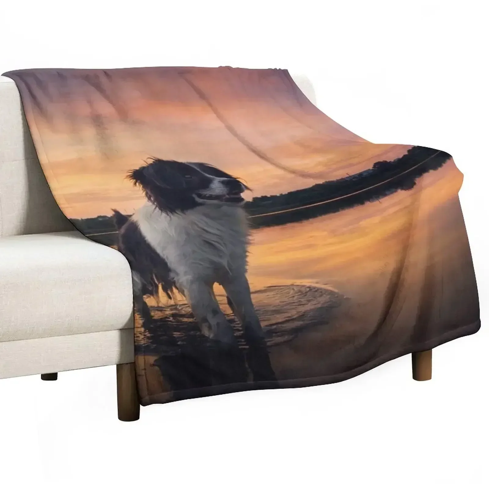 

beautiful dog at sunset Throw Blanket Tourist For Sofa Thin Blankets