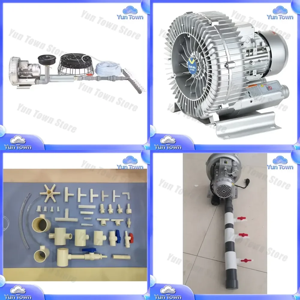3kw Small Pond Blower System for Swimming Pool Aeration Aquaculture Biogas Air Ring Blower for Water Treatment Oxygenation