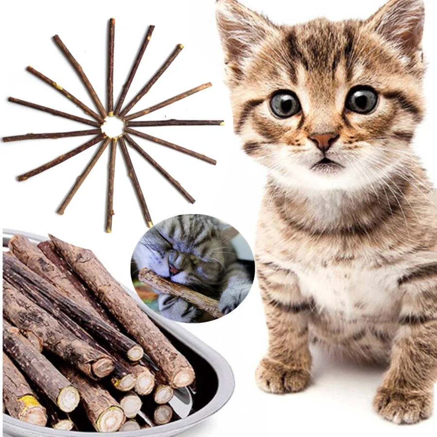 Natural Matatabi Catnip Cat Toys Silvervine Pet Snacks Sticks for Cats Tooth Cleaning Actinidia 10/15/20pcs Options Available