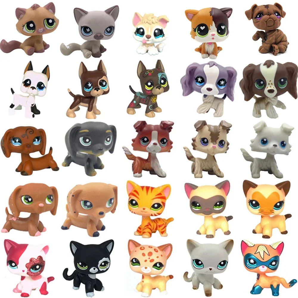 Raro littlest pet shop brinquedo stands cabelo curto gatinho cão dachshund collie spaniel great dane original bobble cabeça brinquedo lps