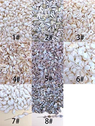 30/60/120pcs natural handmade diy with hole shell suitable for bracelet necklace earrings pendant jewelry accessories