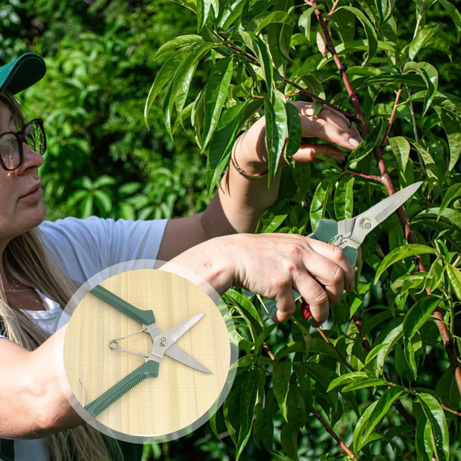 

Pruning Shears Stainless Steel Hedge Clippers Precision Cutting Trimming Tools With Ergonomic Handle Rust-Proof Gardening