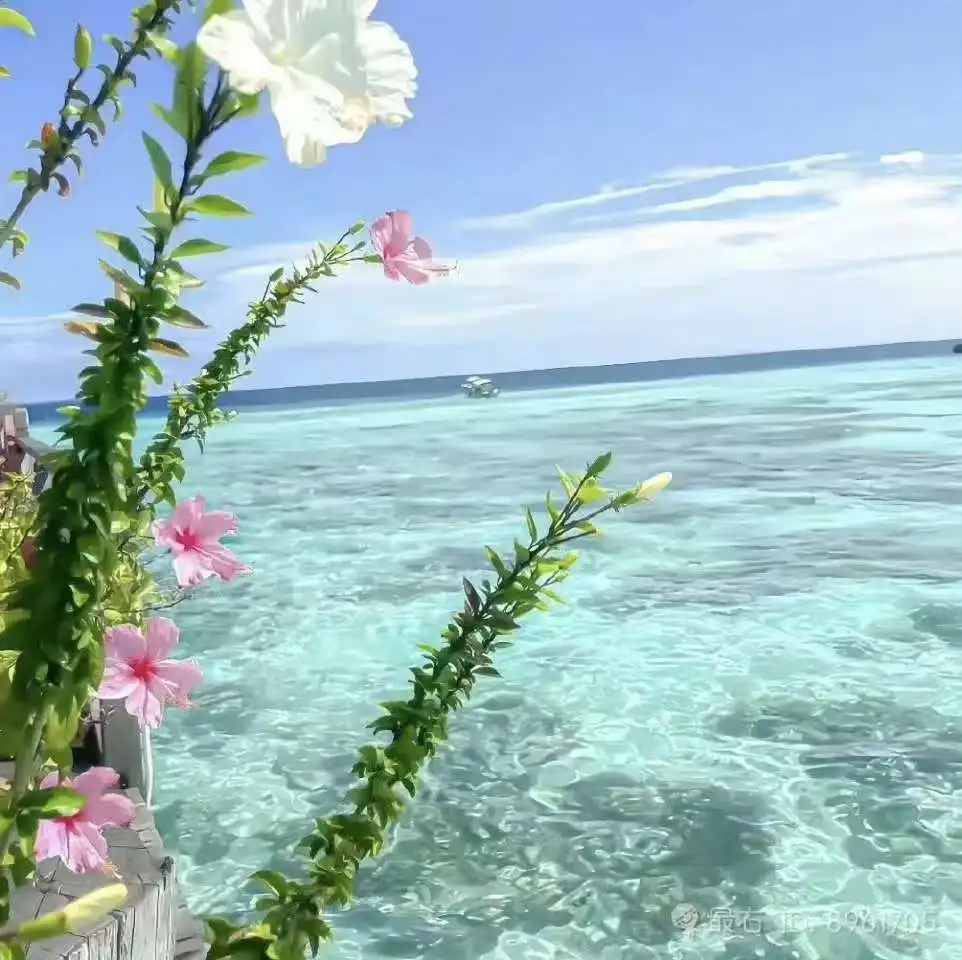 

Технология физиотерапии роликового массажа тела устраняет боль, антицеллюлитное омоложение кожи, машина для похудения