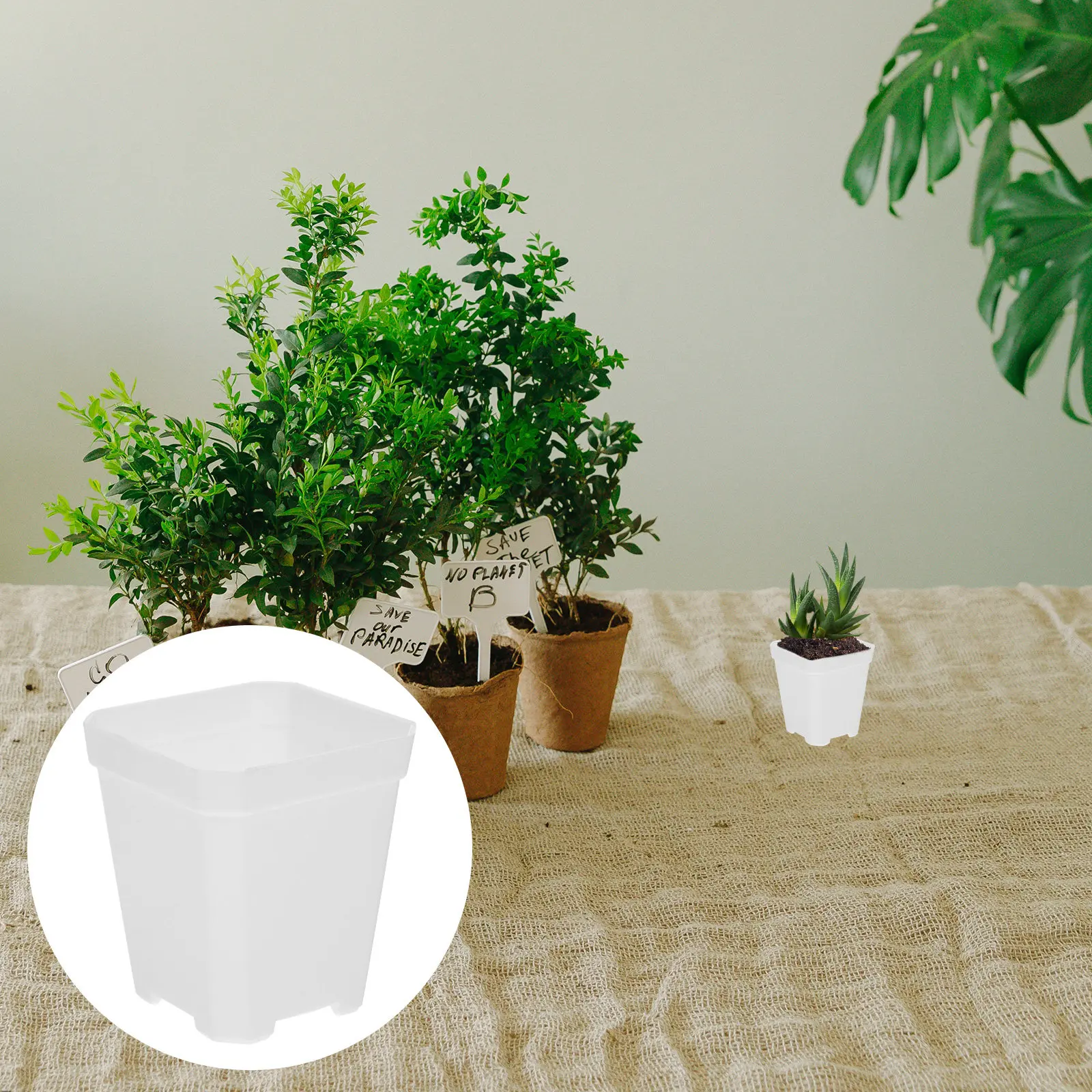 

20 шт. пластиковых горшков для рассады с полым дном и дренажем, для цветов, садовые принадлежности, товары для растений