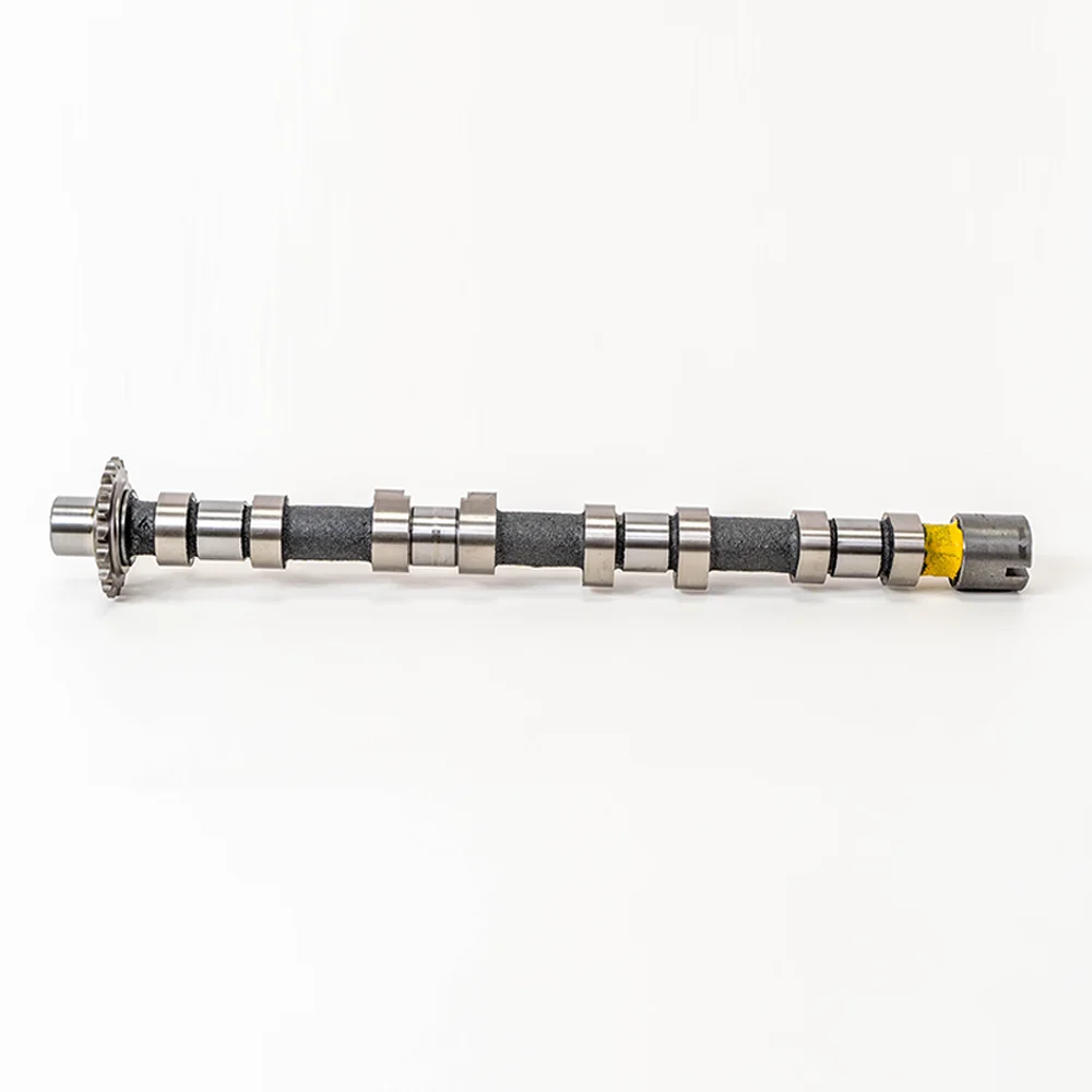 Raceorly Camshaft for Citroen C5 C6 Peugeot 407 508 2.2L HDi Engine 4HP 4HT OEM LR021913 Auto Parts