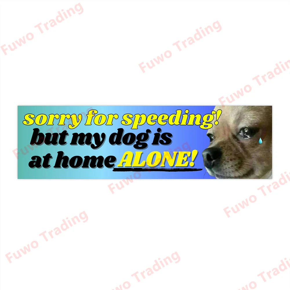 

Индивидуальная наклейка на автомобиль «Извините за умние!» Для автомобиля, мотоцикла, гоночного шлема, ноутбука, багажника, кузова, окна автомобиля, доски для серфинга, ПВХ наклейки