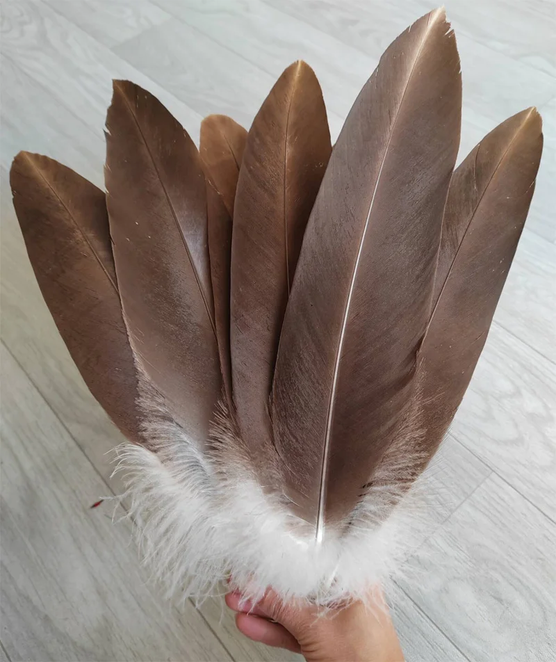 10-uds-35-45cm-hermosa-plumage-de-aguila-natural-rara-pluma-de-halcon-de-pajaro-grande-celebracion-decoracion-de-ropa