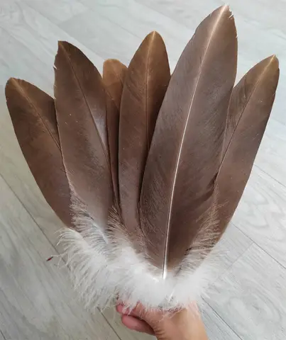 10Pcs 20-45CM Beautiful Natural Eagle Plumage Rare Large Bird Hawk Feathers Celebration Clothing Decoration
