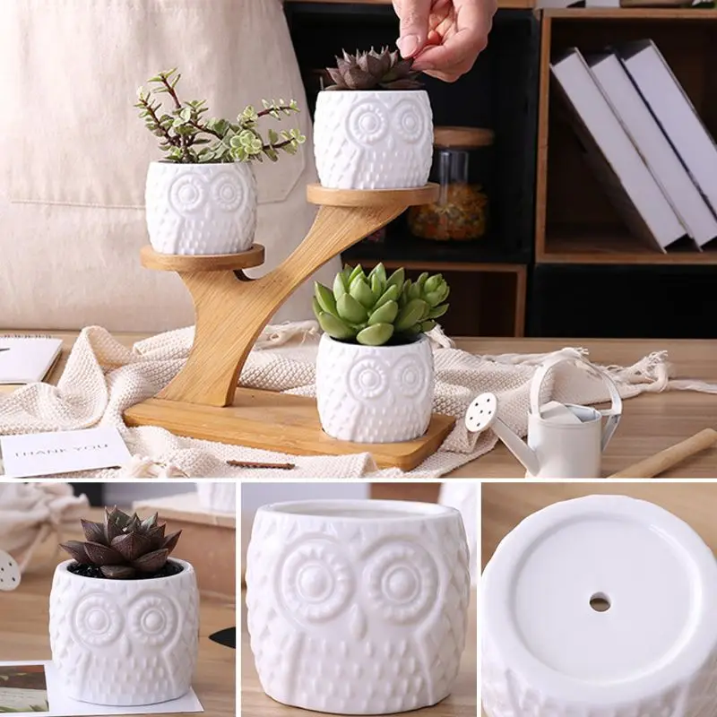 

Owl Pot Succulent Cactus Planter Flowerpot Set With Bamboo Shelf Tray Decor 45BE