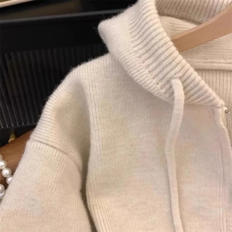 Spring Autumn Women Hooded Sweater Cardigan Tops 2024 Female Loose Zipper Knitwear Coat Korean Lady Fashion Long Sleeved Outwear