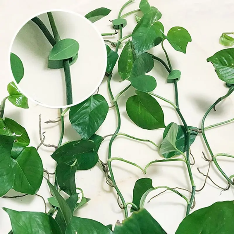 Plant Climbing Wall Clips 10pcs Climbing Plant Support Wall Fixture Adhesive Plant Wall Clips Money Plant Clips Indoor Plant