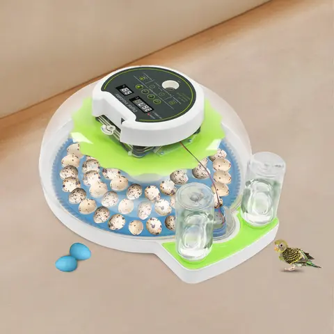 10 best sales अंडा इनक्यूबेटर पूरी तरह से स्वचालित - №4