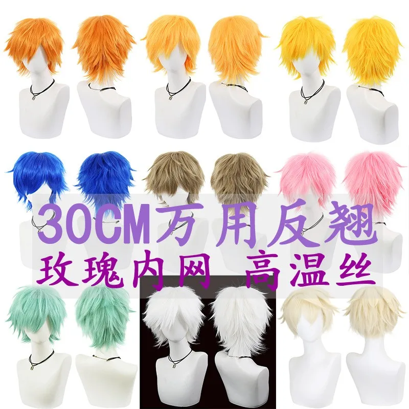 

Anime 30cm Short Straight Cosplay Wig Heat Resistant Synthetic Hair Shaggy Layered Party Play Halloween Role Daily